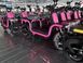 Електроскутер ScoutX U1s 120 км 1500 Вт рожевий scoutx-u1s-pink фото 6